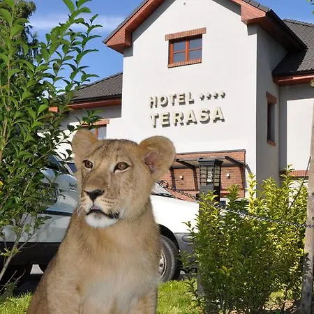 Hotel Terasa 4*